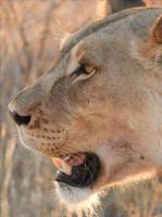 Namibia: la meraviglia ad ogni angolo!